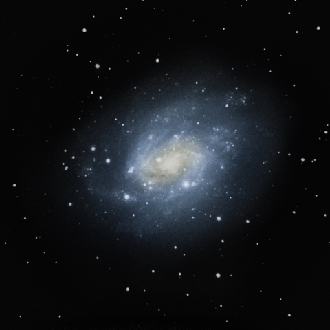 NGC 300