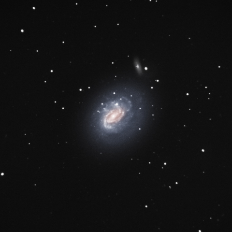 NGC 1187