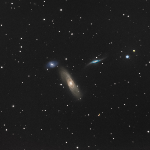 Arp 286
