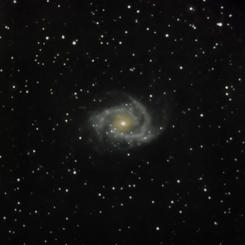 NGC 2997