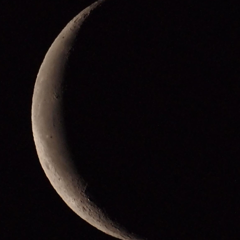 2011年1月1日の月