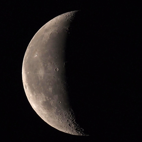 1月28日早朝の月