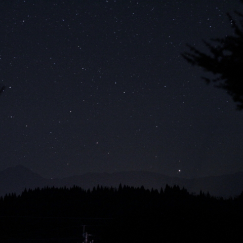 2016年除夜に撮ったカノープス