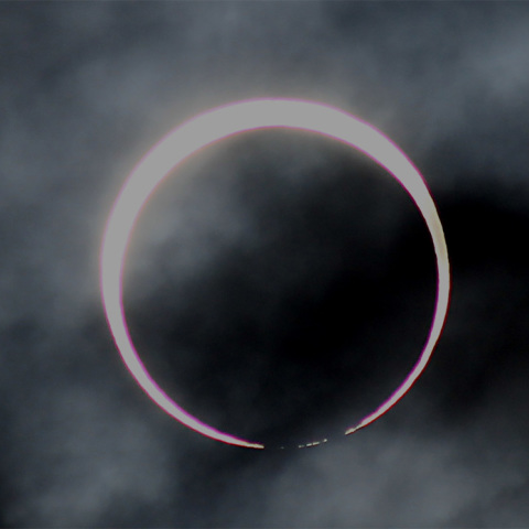 ベイリービーズ