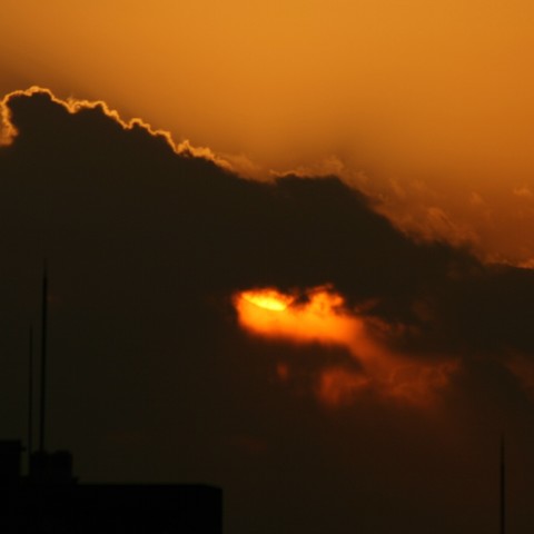 わずかに見えた部分食