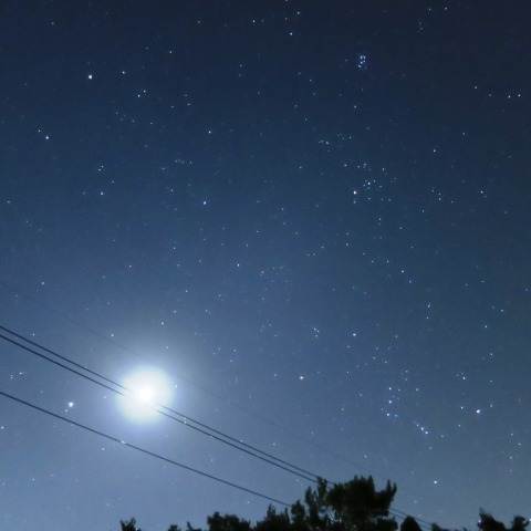 月と冬の星座