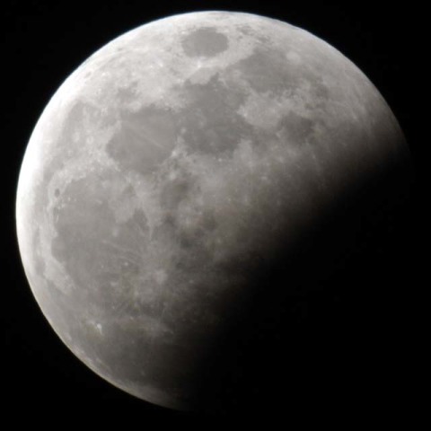 グアム島で見ました