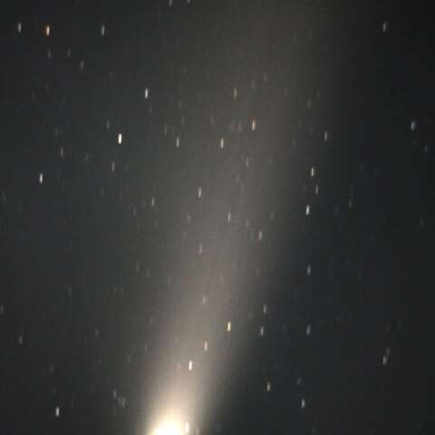 C/2023 A3  2024/10/22