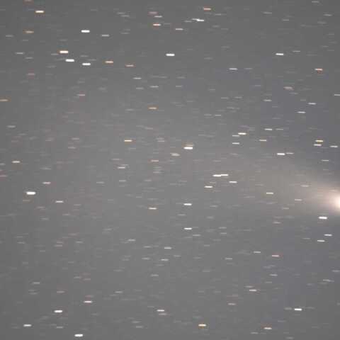 ｃ/2023 A3  2024/11/06