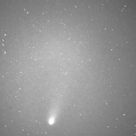 C/2023 A3　2024/11/13