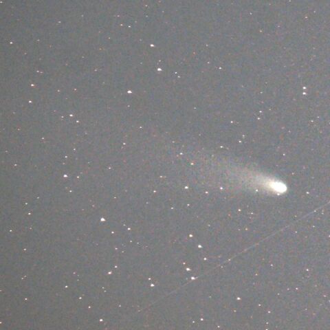 C/2023 A3　2024/11/19