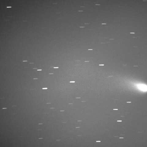 C/2023 A3　2024/11/21