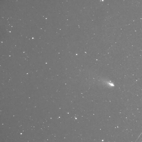 C/2023 A3　2024/12/03