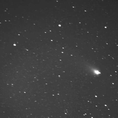 C/2023 A3　2024/12/08