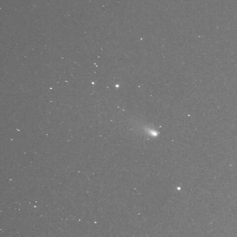 C/2023 A3　2024/12/11