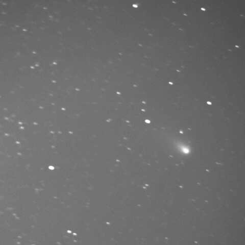 C/2023 A3  2024/12/13