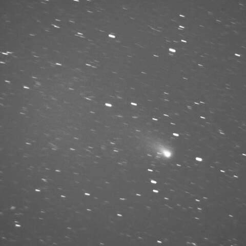 C/2023 A3  2024/12/18