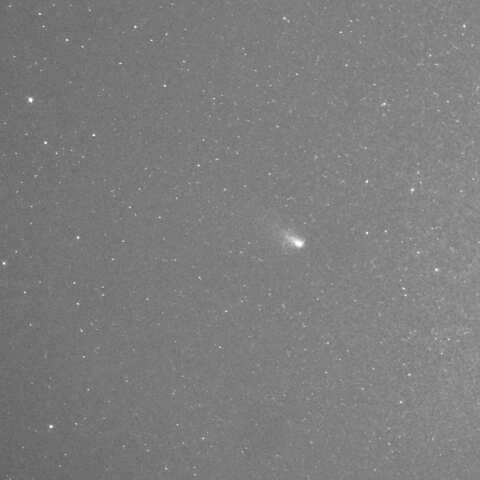 C/2023 A3  2024/12/19