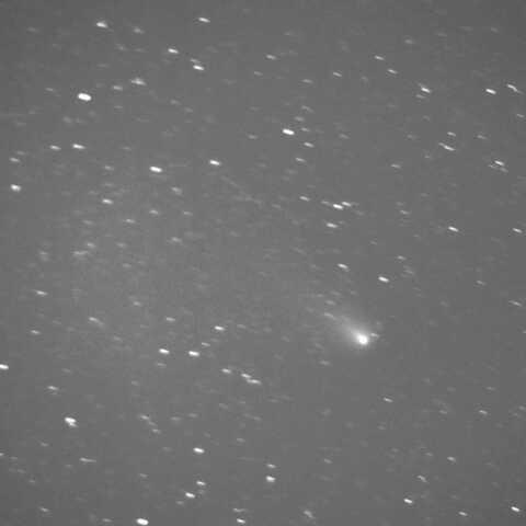 C/2023 A3  2024/12/19