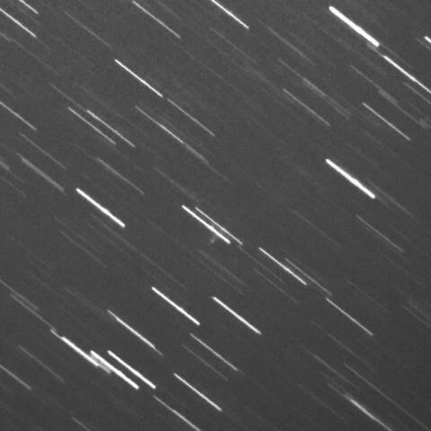 333P 2025/01/04