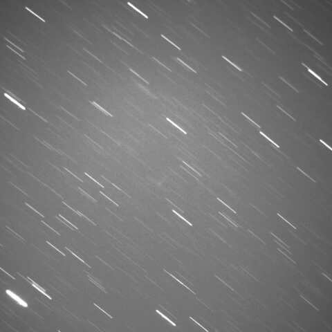 333P 2025/01/10