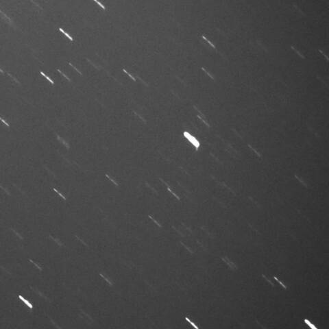 333P 2025/01/23