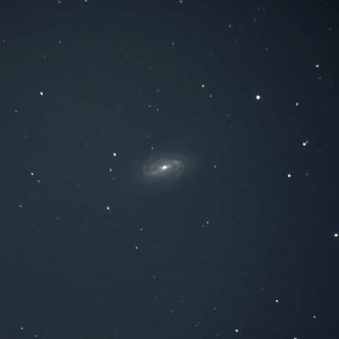 しし座 NGC2903 2025/04/28