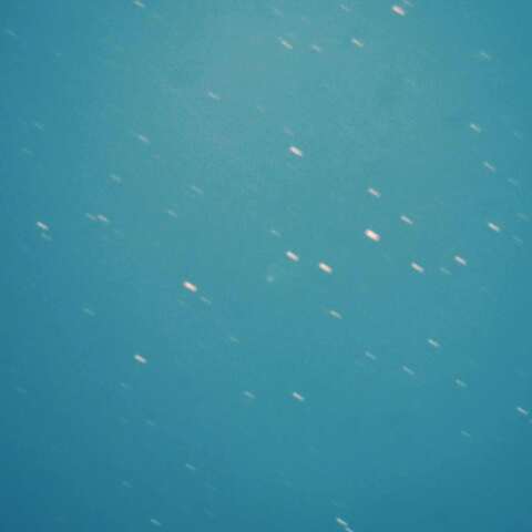 C/2024 E1　2025/11/02