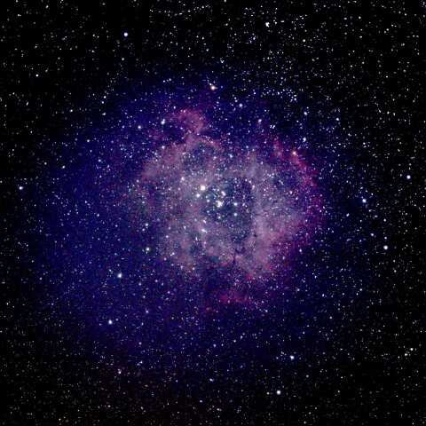 バラ星雲  2026/03/10