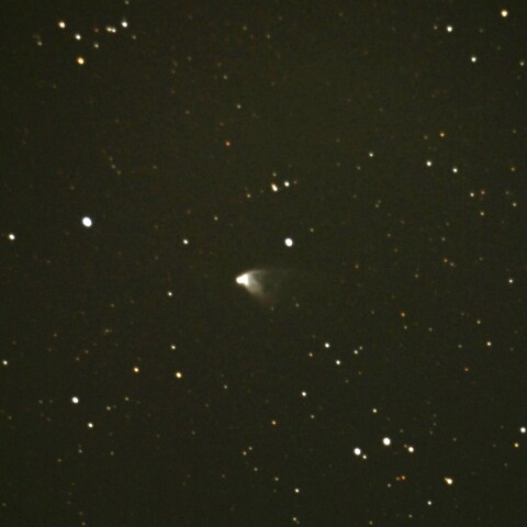 NGC2261 2026/04/08
