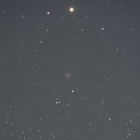 NGC3184 2026/05/16