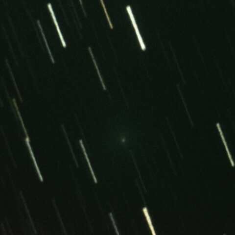 161P 2026/10/16