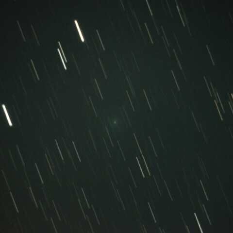 161P  2026/10/17