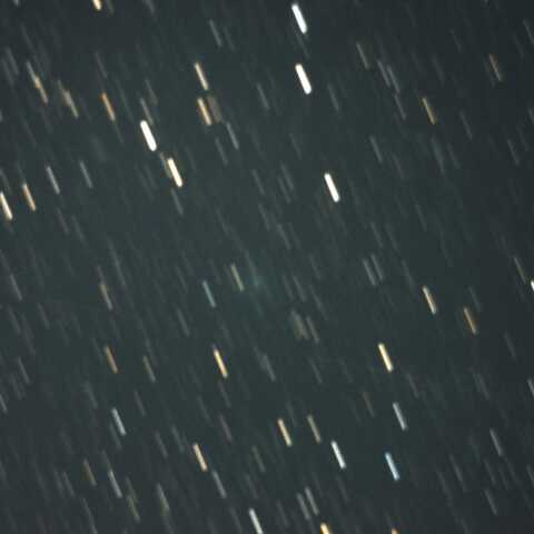 161P  2026/10/28