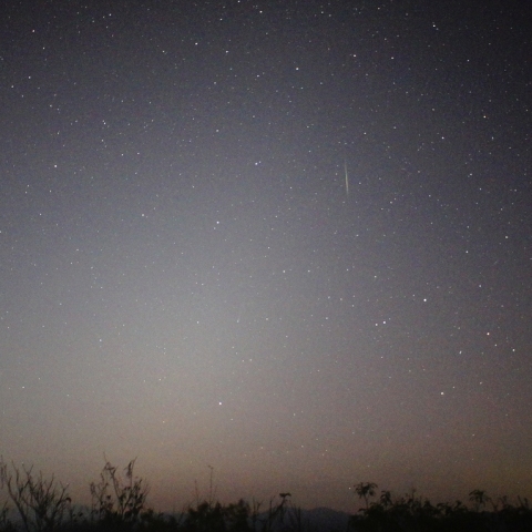 しし座流星群の流星 (アイソン彗星)