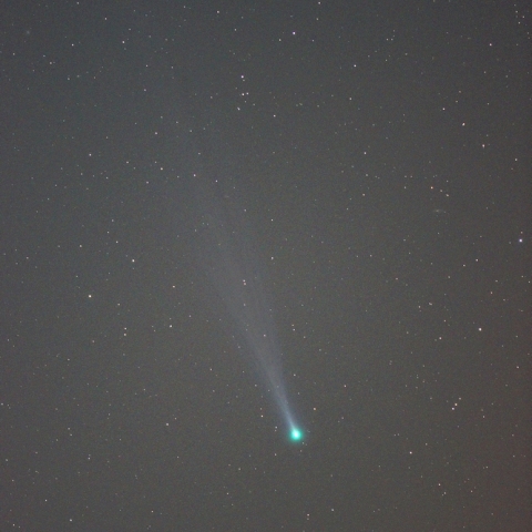 11月16日のアイソン彗星