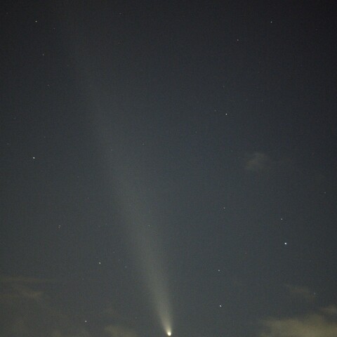 京都の街中から紫金山・アトラス彗星