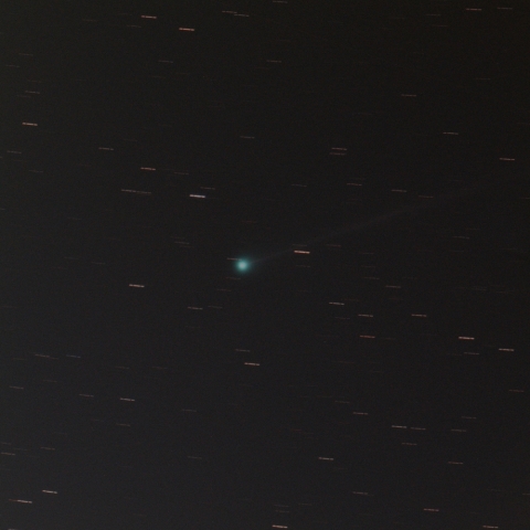 C/2023 P1 (西村彗星)