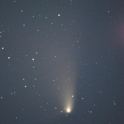 明け方のパンスターズ彗星