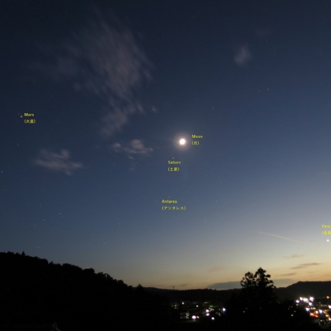 離れてゆく火星・近づく金星