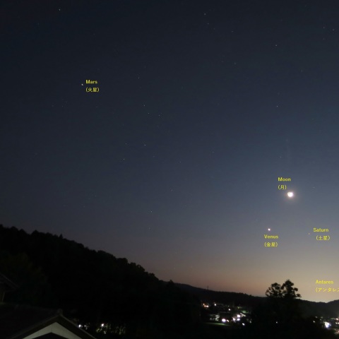 月・金星・土星の三角形