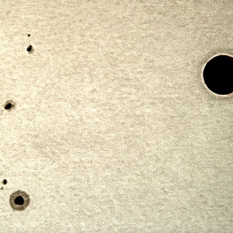 金星と黒点の接近