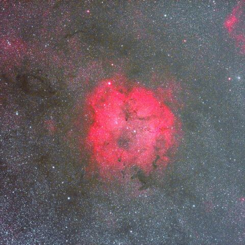 IC1396(NB1) Oct. 2023