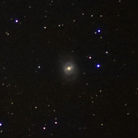M95 Jan. 2024