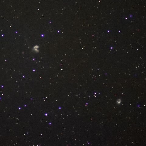 NGC4038-9周辺 Jan. 2024