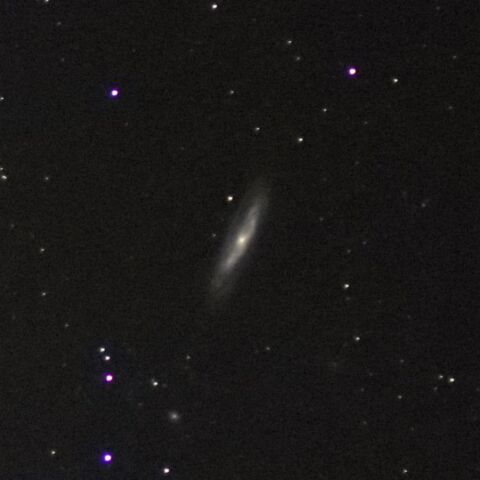 M98 Jan. 2024