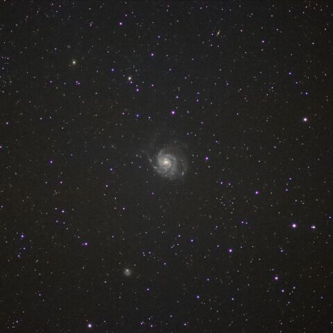 M101周辺 Jan. 2024