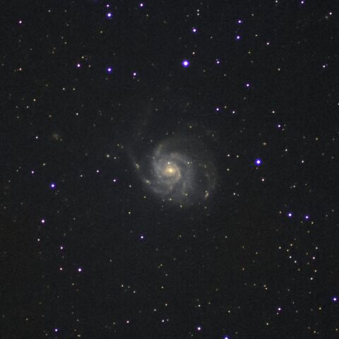 M101 Jan. 2024