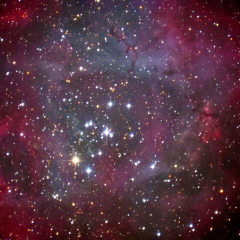 ばら星雲拡大 Jan. 2024