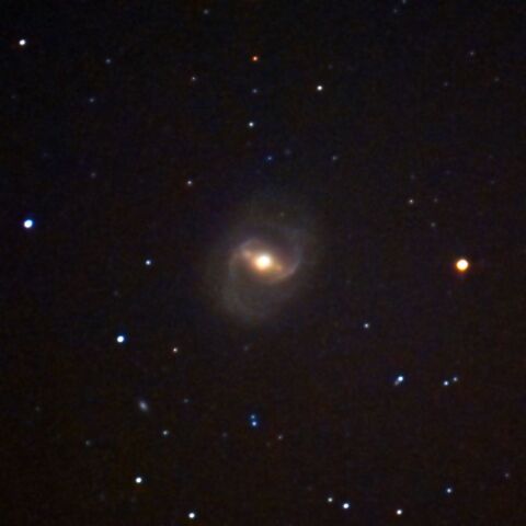 M91 Jan. 2024